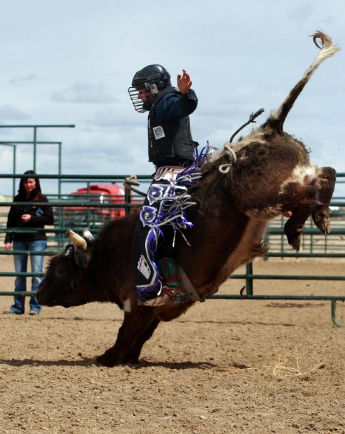 Mini Bull Riding
